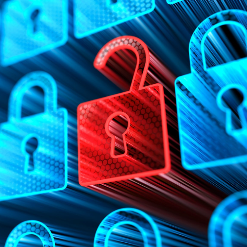 DISCOVER OUR SERVICES